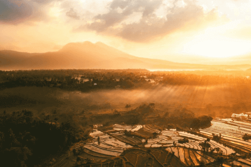 Bali rice fields in Indonesia