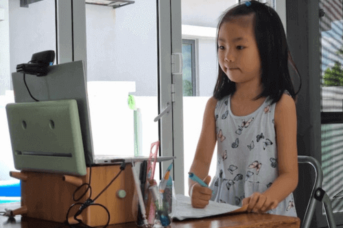 Is Online Teaching a Good Career - Young Asian student